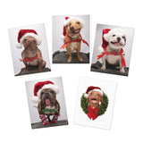Wonky Dogs Santa Hats Holiday Greeting Cards (5-Pack)