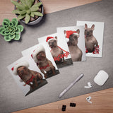 Petunia & Savvy Greeting Cards (5-Pack)