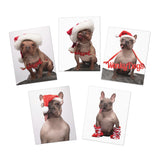 Petunia & Savvy Greeting Cards (5-Pack)