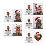 Wonky Dogs Santa Hats Holiday Greeting Cards (5-Pack)