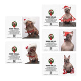 Petunia & Savvy Greeting Cards (5-Pack)